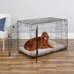 MidWest Homes for Pets 42-Inch iCrate for Large Breeds, 71-90 lbs, Double Door Folding Dog Crate with Divider Panel, Leak-Proof Tray & Secure Latches, Portable, Durable & Easy to Assemble - Image 3